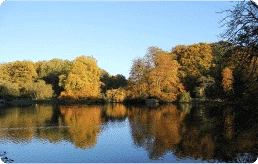 Students at Basecamp Dortmund dorm can enjoy Rombergpark Botanical Gardens