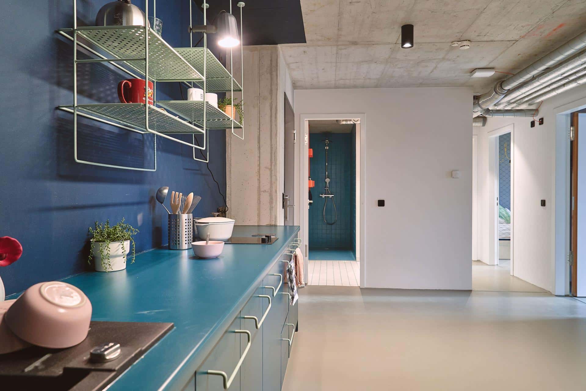 Shared apartment kitchen area