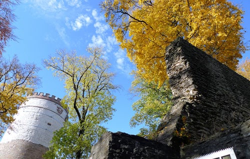 Plesse Castle by Reinhard Klar