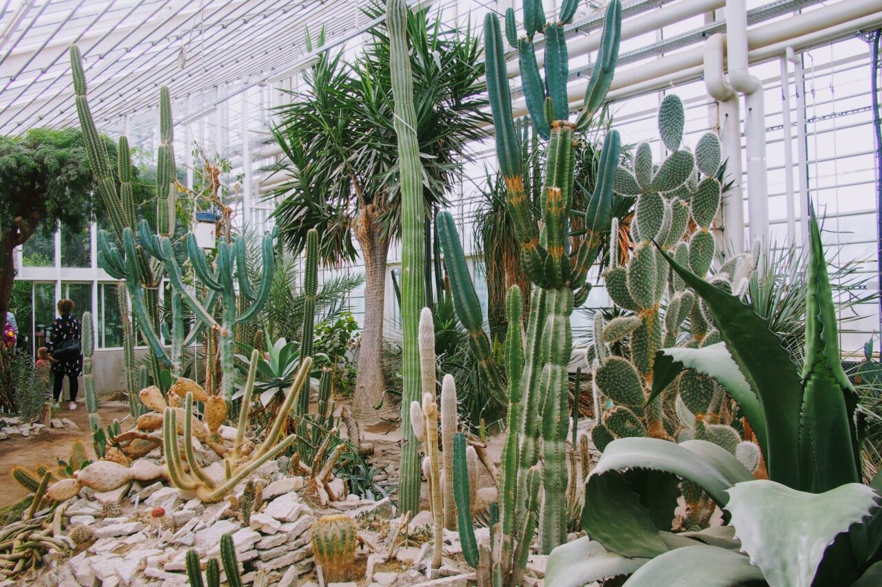 Botanical Garden and The Greenhouses Aarhus